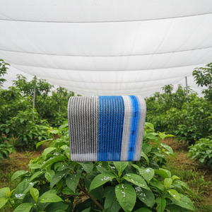 <span class=keywords><strong>Filet</strong></span> <span class=keywords><strong>anti</strong></span>-<span class=keywords><strong>grêle</strong></span> 100 % PE vierge pour vergers / <span class=keywords><strong>Filet</strong></span> <span class=keywords><strong>anti</strong></span>-<span class=keywords><strong>grêle</strong></span> / Filets <span class=keywords><strong>anti</strong></span>-pluie pour arbres fruitiers - Product Image 1