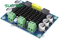 Carte amplificateur Audio TPA3116 100W DC 12V 24V TPA3116DA carte amplificateur Audio numérique Mono canal Module amplificateur haute puissance