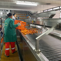 Automatische industriële sinaasappelpersmachine van roestvrij staal, grote capaciteit, citrus- en citroensapverwerkingslijn