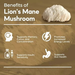 Nootropique OEM ODM Ginkgo Biloba Bacopa Monnieri Vegan <span class=keywords><strong>DHA</strong></span> Booster Cérébral Mémoire & Sommeil Support Adultes Capsules aux Champignons - Product Image 4