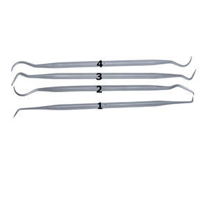 Ensemble de 4 outils de sculpture et sondes en acier inoxydable pour la modélisation de la cire, le détail artisanal et le travail d'orfèvrerie |   GS486 - Product Image 1