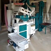 Fraiseuse à riz combinée automatique 20TPD Composants de base de riz domestique avec moteur par Rice Miller