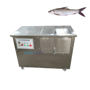 Machine à écailler le poisson électrique en acier inoxydable, machine à écailler le poisson industrielle à vendre - Product Image 4