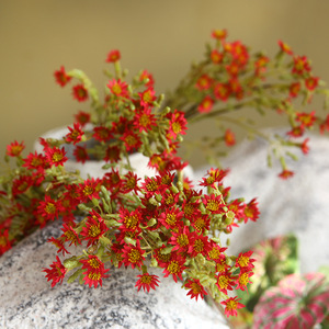Fleur artificielle Yihua Floral Art, fleur de radis à trois branches, jaune, orange, rouge, en soie, pour décoration intérieure et ameublement. - Product Image 4