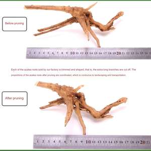 Nieuwe Aankomst Aquarium Best Verkochte Drijfhout Decoratie Rododendron Hout Drijfhout Stukken Voor Ambachten - Product Image 4