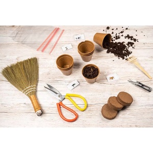 Excelente Idea de Regalo: Kit de Cultivo de Bonsái de Arce Amarillo Japonés para Oficina con Maceta y Tapete para Plantas de Interior, Kit para Niños - Product Image 3