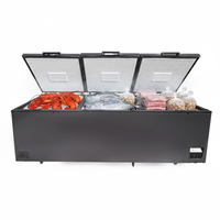 Congélateur coffre horizontal à ouverture par le haut pour homards et thons, idéal pour usage commercial et domestique