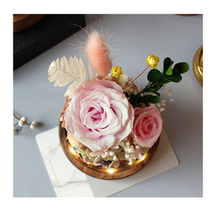 Rosas preservadas en cúpula <span class=keywords><strong>de</strong></span> cristal para jóvenes, flores, venta al por mayor - Product Image 1