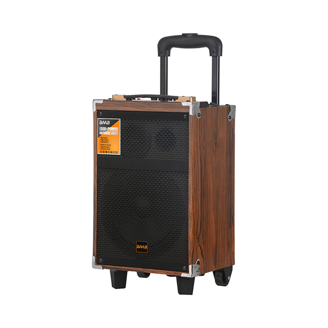 B-Q12 12-Inch Active HIFI TWS Subwoofer DJ Music Box Portable Party Wooden Trolley with RGB Wireless BT Mic Karaoke-for