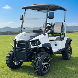 Voitures de golf électriques de luxe avec de nombreuses fonctionnalités, buggy de golf, véhicule utilitaire agricole UTV, voiturette de golf, club-car à <span class=keywords><strong>prix</strong></span> compétitifs - Product Image 1