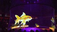 Projecteur holographique 3D portable transparent ignifuge avec cadre Spectacle de scène en direct Écran en maille de polyamide