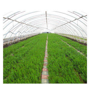 Tunnel de serre à couverture unique en plastique, 10 m/<span class=keywords><strong>2021</strong></span> m, pour éclairage industriel - Product Image 3