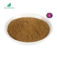 Poudre d'extrait de kanna de bonne qualité 20% extrait de kanna méembrine