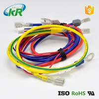 Kustom JST XH 2 perakitan kabel kawat konektor tahan air untuk sistem penyimpanan baterai EV kawat Harness otomotif