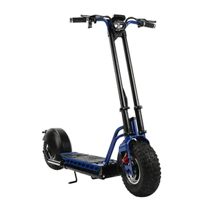 Wide Wheel 2 Wheel Self Balancing Foldable Adult Electric Kickboard Scooter 1200W 48V city coco