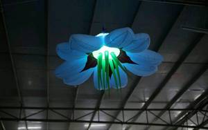 Single Stem Real Touch Bảo Quản LED Light Rose Wedding Flower Đối Với Sự Kiện - Product Image 4