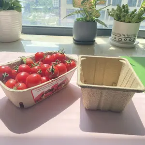 PTPACK Hot Sale Biodegradable pulp Fruit Packaging Basket Organic Mushroom Tray Blueberry Punnets