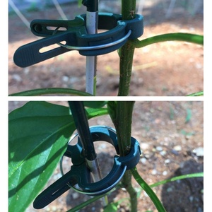 Ensemble <span class=keywords><strong>de</strong></span> 31 pinces <span class=keywords><strong>de</strong></span> fixation pour plantes : pinces <span class=keywords><strong>de</strong></span> soutien en plastique pour plantes grimpantes, outils <span class=keywords><strong>de</strong></span> fixation spécialisés pour tomates, <span class=keywords><strong>vigne</strong></span> - Product Image 5
