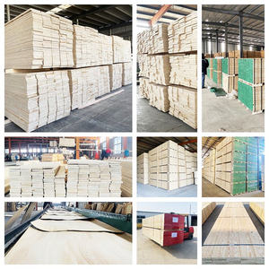 Planches d'échafaudage en LVL imperméables H2s en <span class=keywords><strong>m</strong></span>élèze et peuplier du marché australien, poutres en LVL, contreplaqué utilisé pour la construction - Product Image 4