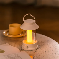 10000mah Rechargeable Extérieur Led Lanterne Petites Veilleuses Portable Rétro Vintage Grande Capacité Batterie Camping lampe