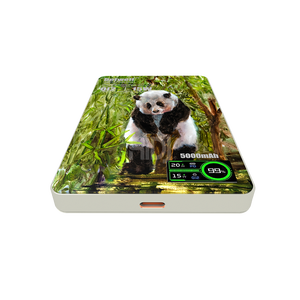 Cargador Portátil Ultra Seguro <span class=keywords><strong>de</strong></span> Estado Sólido, Compañero <span class=keywords><strong>de</strong></span> Carga Rápida para Viajes Cortos y Largos - Product Image 5
