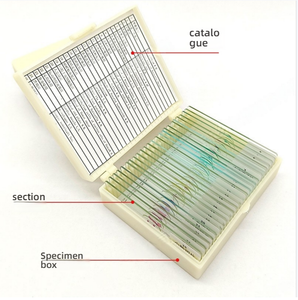Lames de microscope histologiques fabriquées en usine, préparations de larves de Trichinella spiralis pour la science médicale et l'enseignement scolaire - Product Image 4