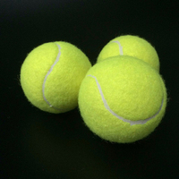 Balle de cricket, de tennis et de paddle de haute qualité pressurisée pour l'entraînement