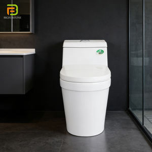 Moderni WC con Scarico a Sifone, Toilette Allungata in Ceramica, WC Monoblocco Sifonico per Hotel - Product Image 2