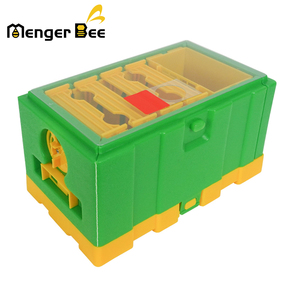 Nueva Mini Colmena Langstroth de 4 Cuadros para Cría y Acoplamiento de Abejas Reina, Material HDPE+PP, Modelo Menger B-23, 25x15x17cm, 1 Año de Garantía - Product Image 5