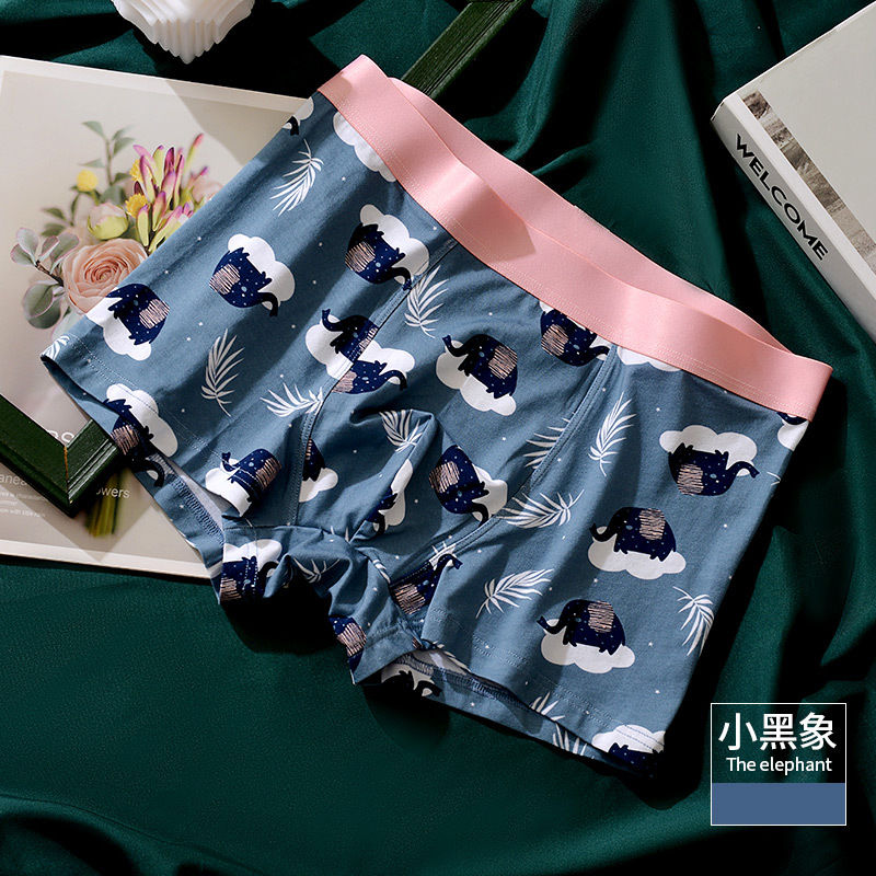 BOXER BRIEFS/male/Elephant
