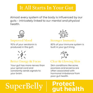 Etiqueta privada vegana sin azúcar probiótico prebiótico superalimento hidratación limón <span class=keywords><strong>jengibre</strong></span> vientre plano <span class=keywords><strong>en</strong></span> <span class=keywords><strong>polvo</strong></span> - Product Image 6