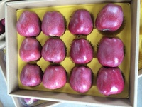 Zoete Verse Koninklijke Gala Appel Verse Fuji En Rode Ster Appels En Ander Vers Fruit Tegen Groothandelsprijs