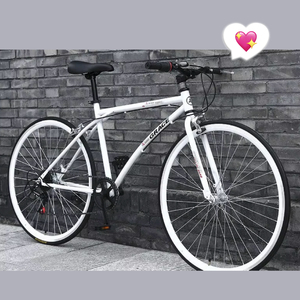 2025 Démo OEM 26 \ "VTT VTT pour hommes Fourche en acier Matériel 21 vitesses Système de frein à disque Couleur personnalisable - Product Image 2
