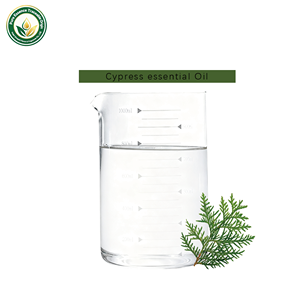 Precio al por Mayor, Aceite Esencial de Ciprés Hinoki, Aceite de Hoja de Cedro, Marca Zhongzhi, Aromaterapia, Cuidado de la Piel, Puro y Natural, Origen Hubei, China - Product Image 2