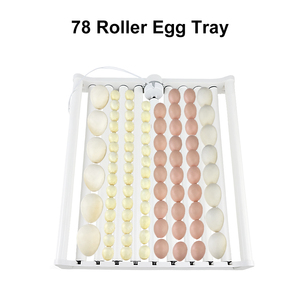 Plateaux à œufs en plastique OEM&DEM 78-94, plateau à œufs automatique à 70 rouleaux, en vente - Product Image 4