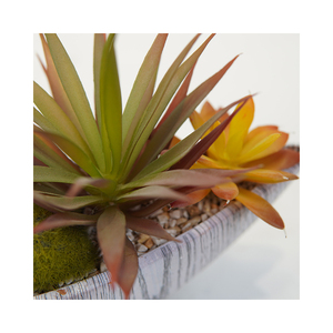 Tavola di decorazione Bonsai Premium con plastica succulenta Aloe misto <span class=keywords><strong>piante</strong></span> verdi artificiali succulente e <span class=keywords><strong>piante</strong></span> di Aloe - Product Image 6