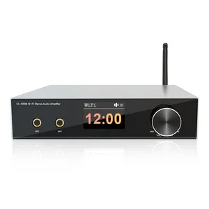 CL-600B Pro-micrófono inalámbrico UHF, Mini máquina de karaoke, WiFi 2,0, HiFi, DAC, DSP, Clase d, amplificador de audio para el hogar