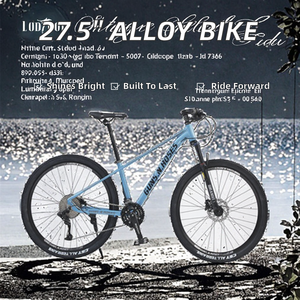 Vélo de montagne pour hommes et femmes, <span class=keywords><strong>26</strong></span> <span class=keywords><strong>pouces</strong></span>, en alliage d'aluminium, frein à disque, fourche à rayons Spokedarton, 21 vitesses, pédale ordinaire - Product Image 3