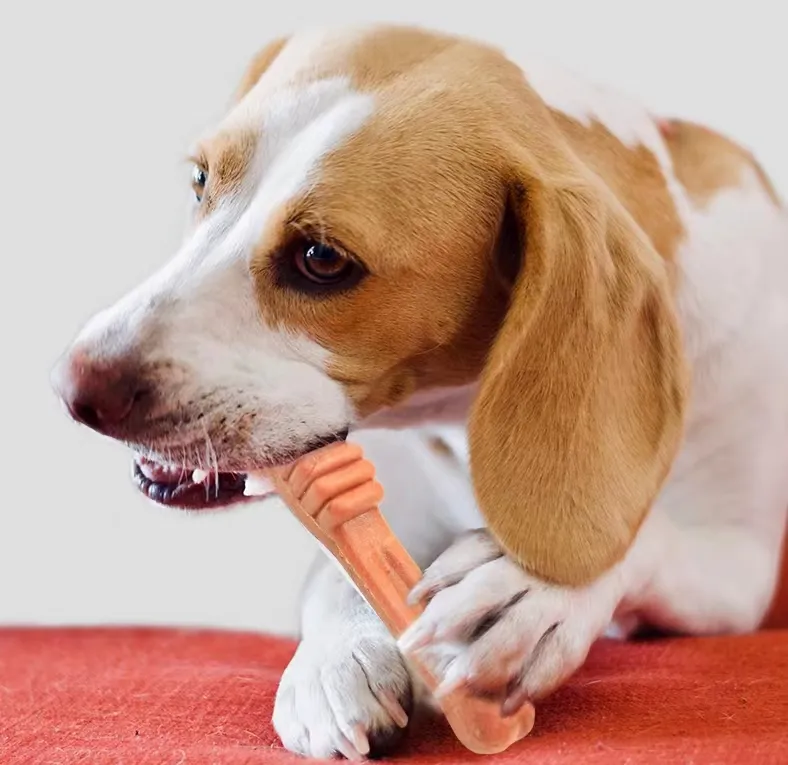 ORGO-Brosse à dents pour chien, jouet à mâcher, saveur de boeuf, os dentaire