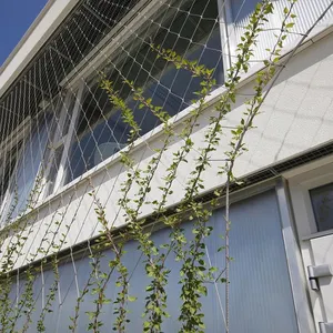 حبل سلك فولاذي مقاوم للصدأ شبكة 100*100 مللي متر شبكة كابلات النبات الأخضر تسلق تعريشة شبكة جدار لحديقة