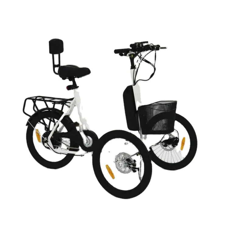 Family Cargo Bike Elektro fracht träger Dreirad Reverse Trike Zum Verkauf