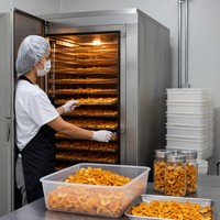 Nieuwe 80-laags fruitdroogmachine met 4 kasten, commerciële digitale besturing, voedseldroger voor groenten, vlees, rundvlees en citroen
