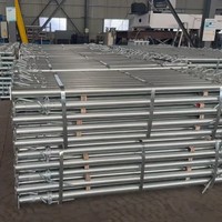 Poteau de soutien en acier robuste pour la construction