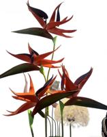 Nouvelle Arrivée Promotionnelle : Fleur du Paradis Artificielle Géante de Haute Qualité, Toucher Réel, Style Chinois Simple et Élégant, Écologique