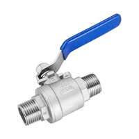 Vanne à boisseau sphérique flottante en acier inoxydable 2 pièces, double filetage extérieur, filetage mâle 6 points, pour conduite de vapeur, DN15-DN50