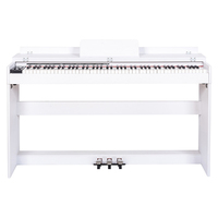 The First Choice of Keyboard Electronic Instruments for the Music Stage Professional Compact Plastic Upright Digital Piano