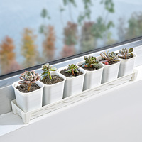 Plateau de drainage rectangulaire en plastique fin pour plantes succulentes avec bouchon de vidange, blanc/noir, pour rebord de fenêtre et balcon étroit
