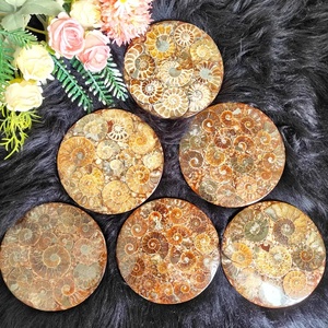 ฟอสซิลแอมโมไนต์ขายส่ง ฟอสซิลธรรมชาติสำหรับการบำบัดด้วยเรกิ คริสตัลหินสำหรับตกแต่งบ้าน - Product Image 4