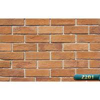 Briques murales extérieures fines en faux béton résistantes aux acides BERICH LY04 en promotion