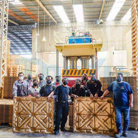 Equipo de Fabricación de Palets de Virutas de Madera ThoYu TY-1250 con Motor, Presión de 1250 Toneladas, Capacidad de 324 Palets/Día